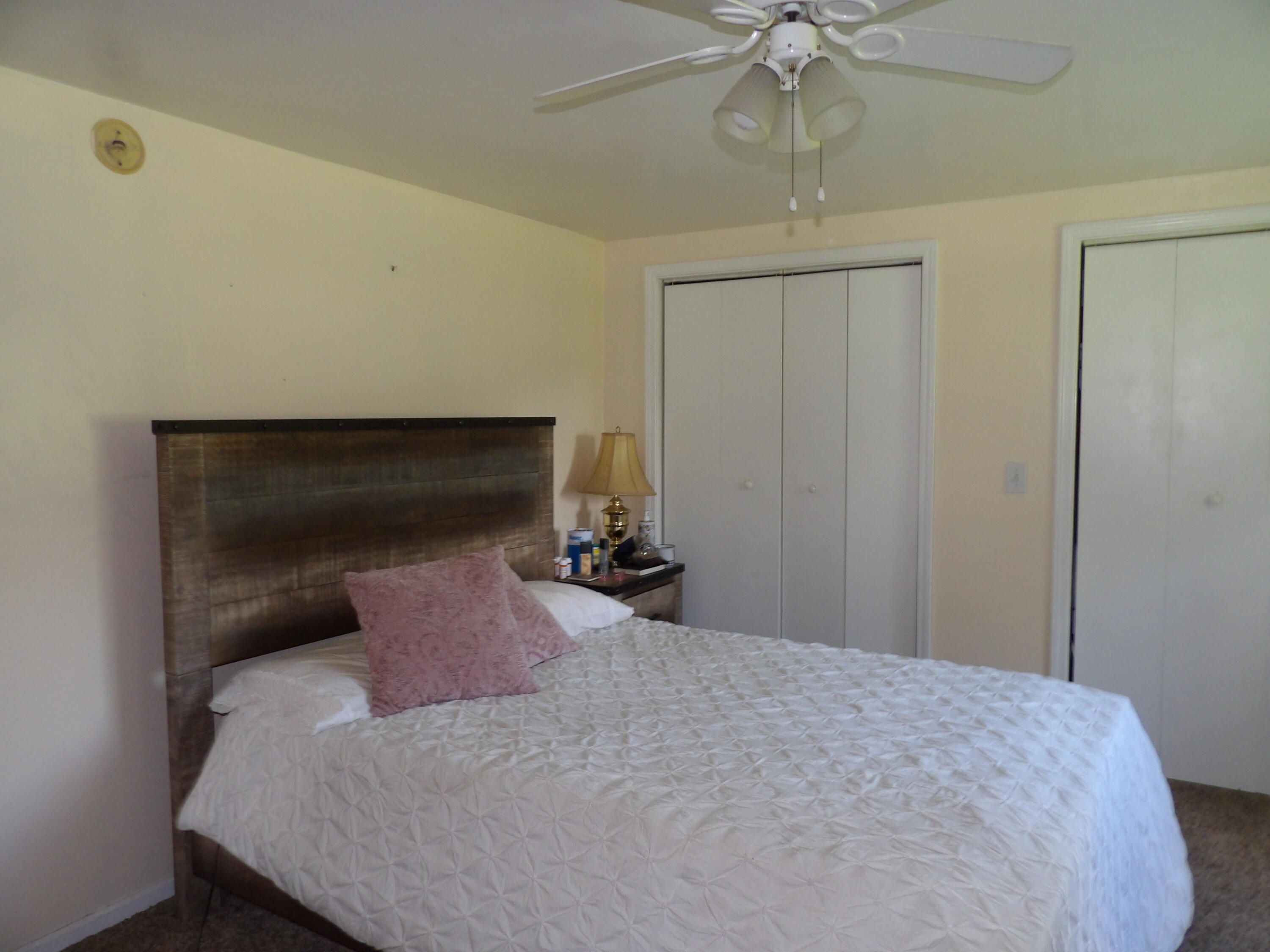 152 West Chicago Road Allen, MI 49227 - Photo 25 of 29 230_0671