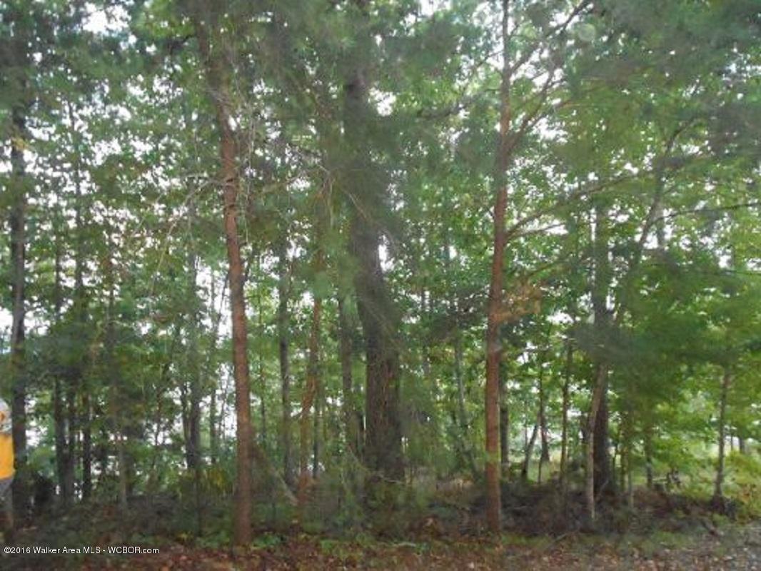 Lot#12 County Road Bremen, AL 35033 - Photo 3 of 6 Gallery Image 3
