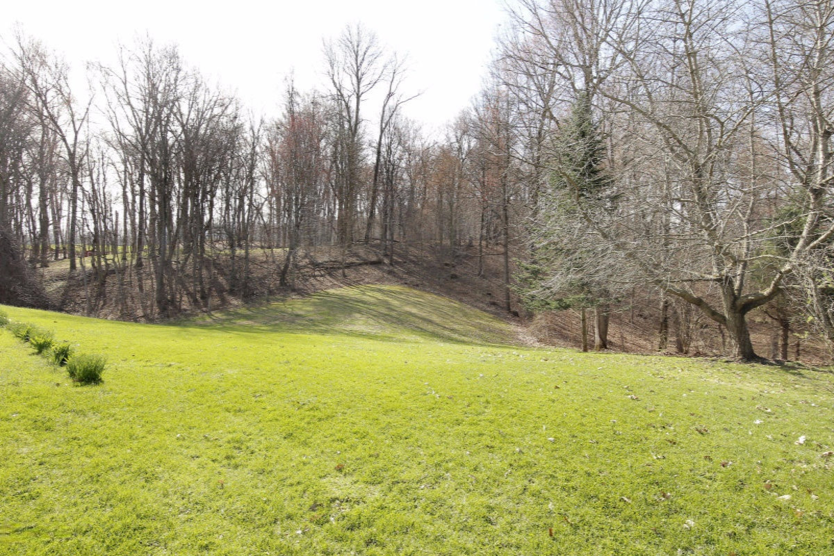 10153 Dutch Settlement Road Marcellus, MI 49067 - Photo 19 of 22 15015105_18