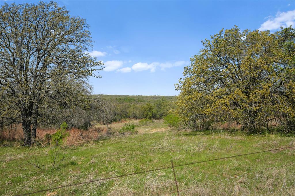 2202 County Road 3657 Springtown, TX 76082 - Photo 8 of 34 a view of a lake with a yard