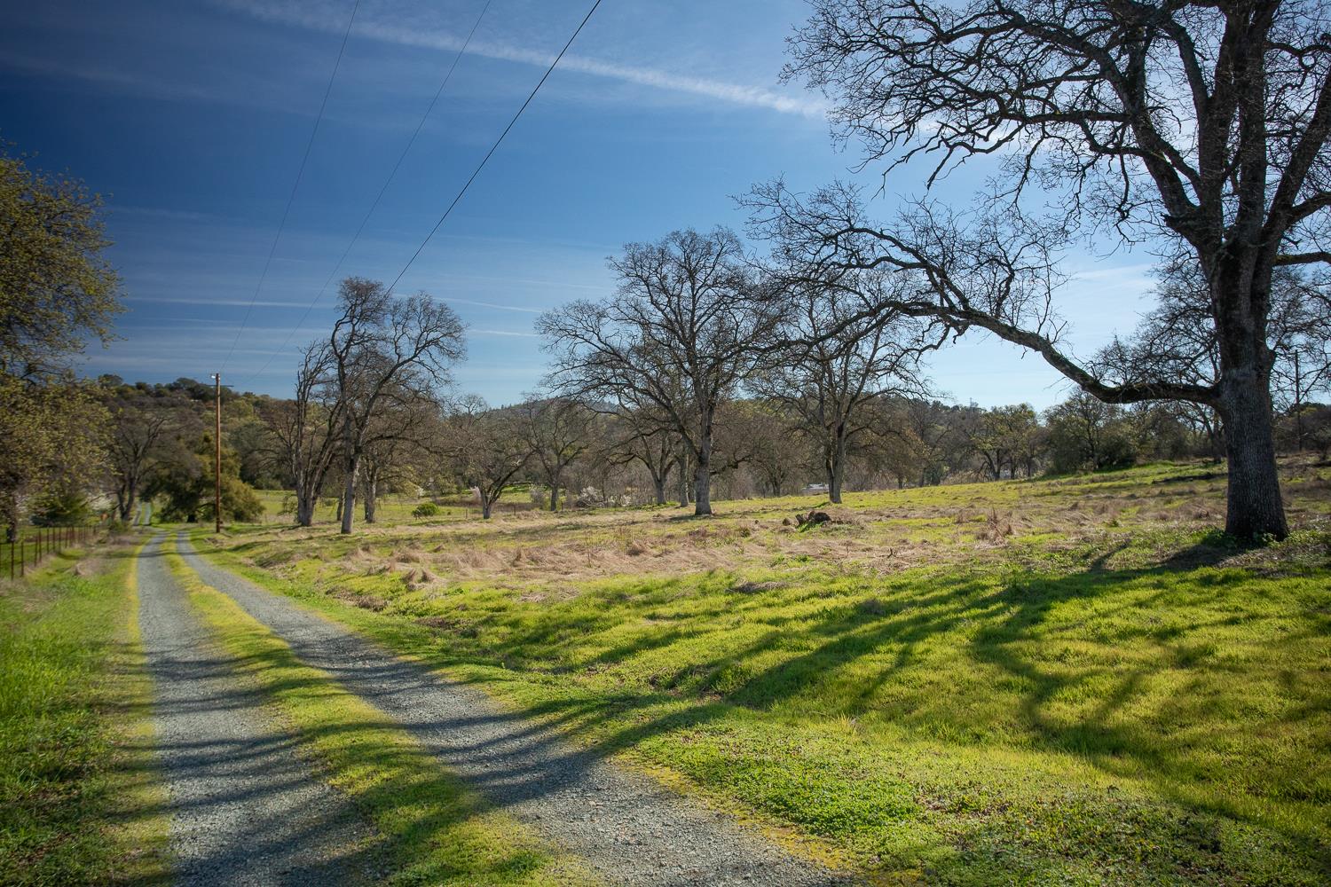0 Marysville Road Browns Valley, CA 95901 - Photo 14 of 30 a view of a yard with an outdoor space