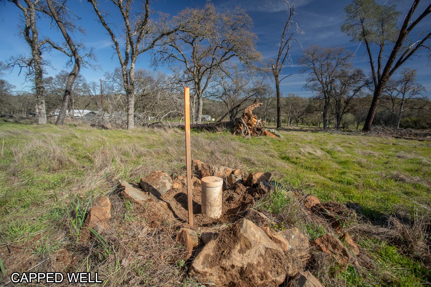 0 Marysville Road Browns Valley, CA 95901 - Photo 15 of 30 a view of yard with tree