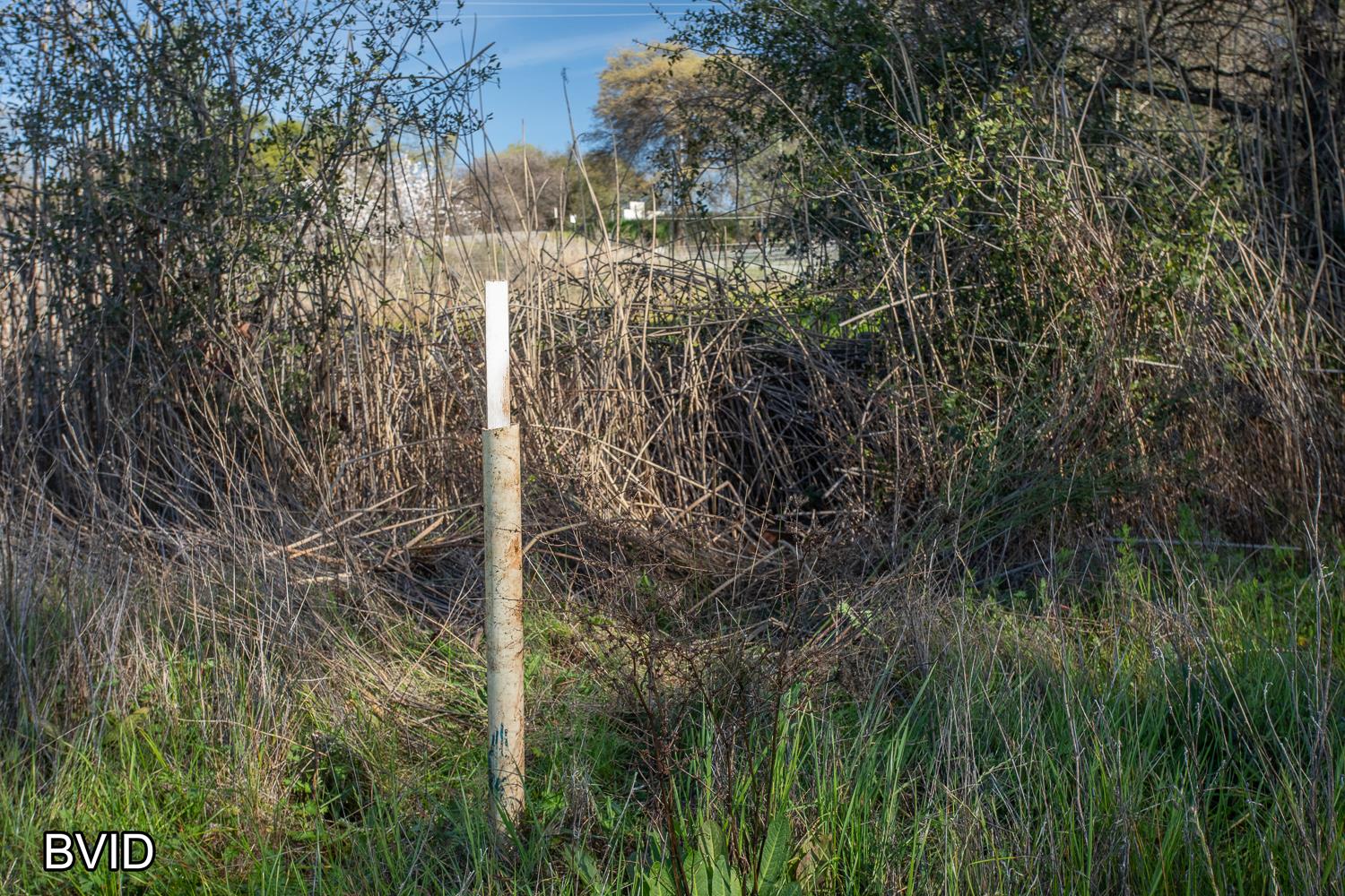 0 Marysville Road Browns Valley, CA 95901 - Photo 16 of 30 a view of forest
