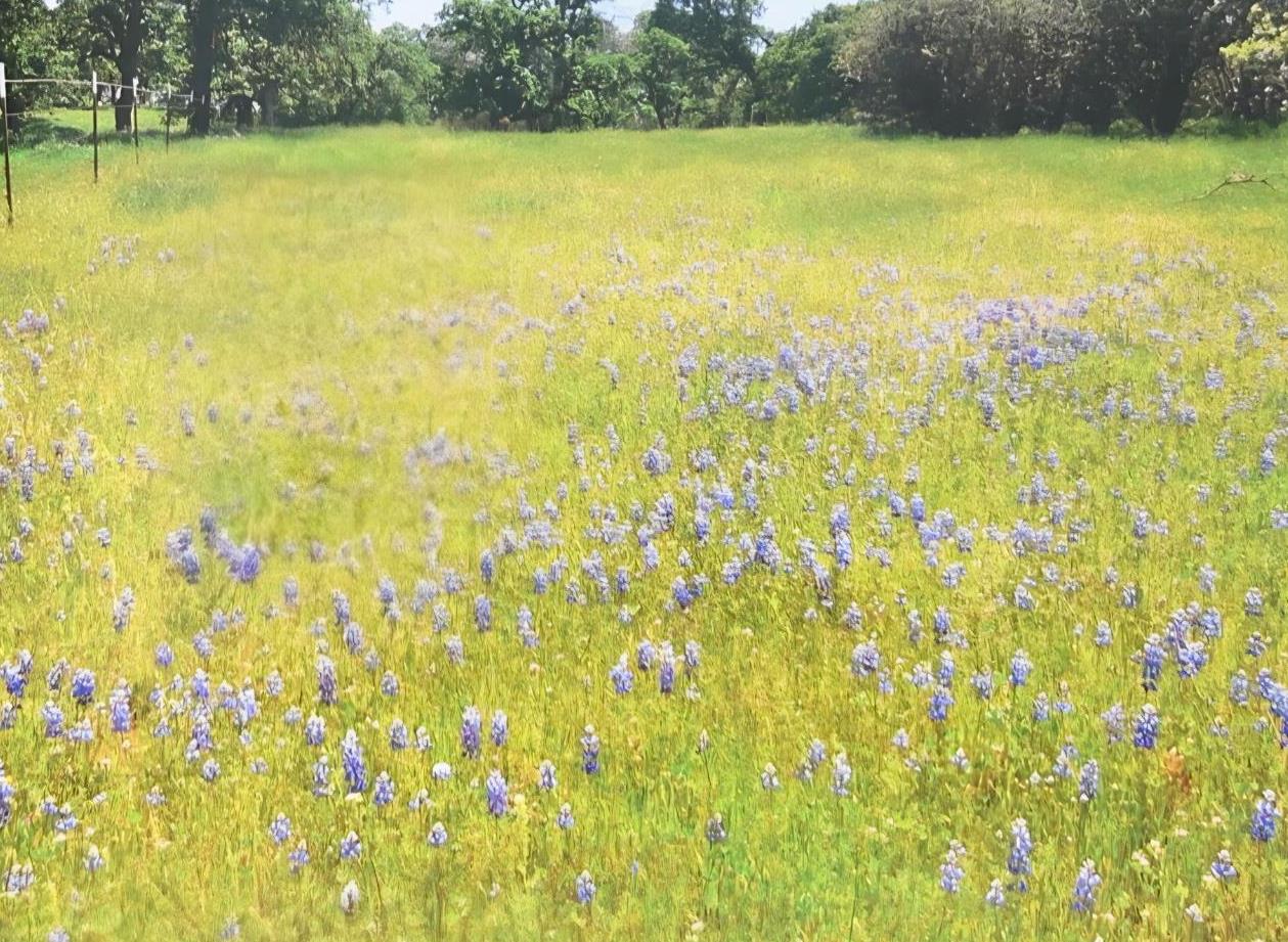 0 Marysville Road Browns Valley, CA 95901 - Photo 22 of 30 a view of a swimming pool and an outdoor space