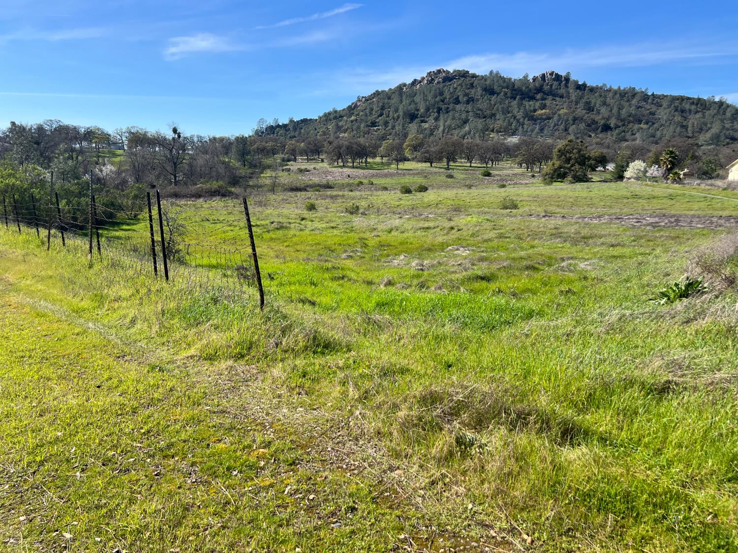 0 Marysville Road Browns Valley, CA 95901 - Photo 27 of 30 a view of a grassy area with an ocean