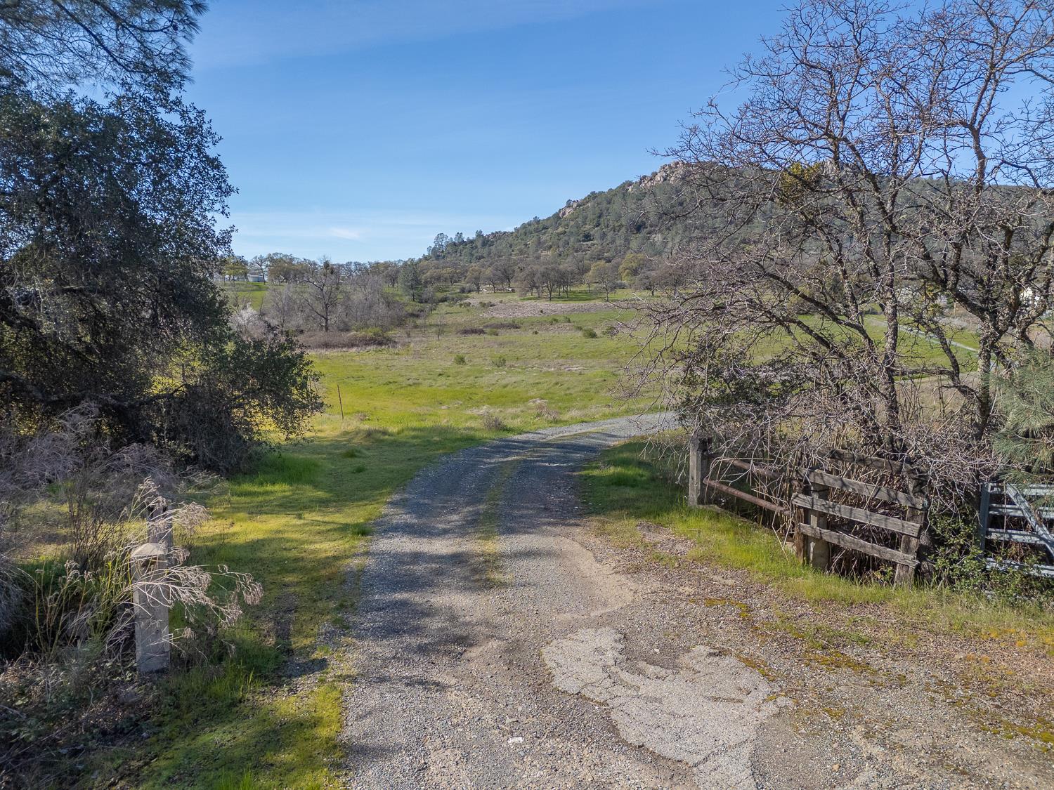 0 Marysville Road Browns Valley, CA 95901 - Photo 6 of 30 a view of a yard with an trees