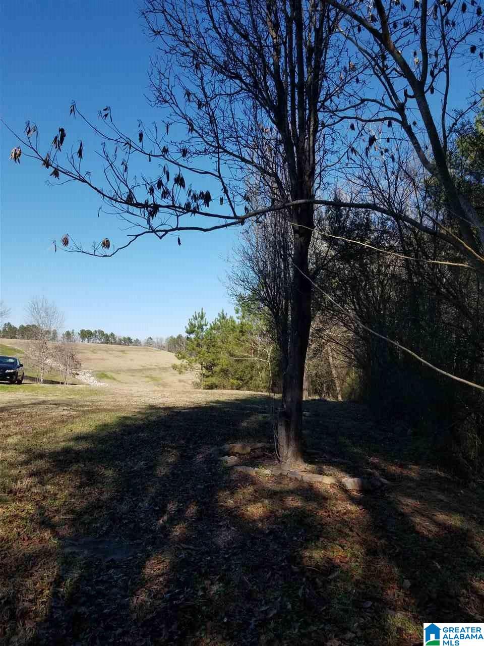 4930 Mt Olive Road Gardendale, AL 35071 - Photo 13 of 14