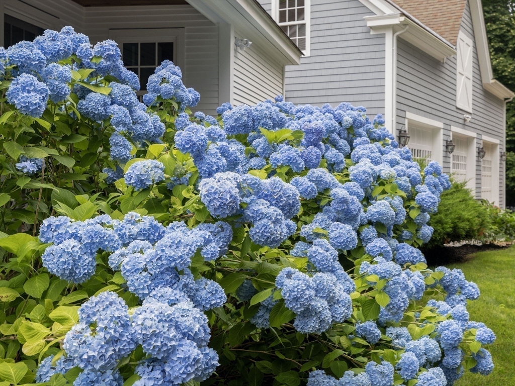 64 Prospect Street Topsfield, MA 01983 - Photo 26 of 32