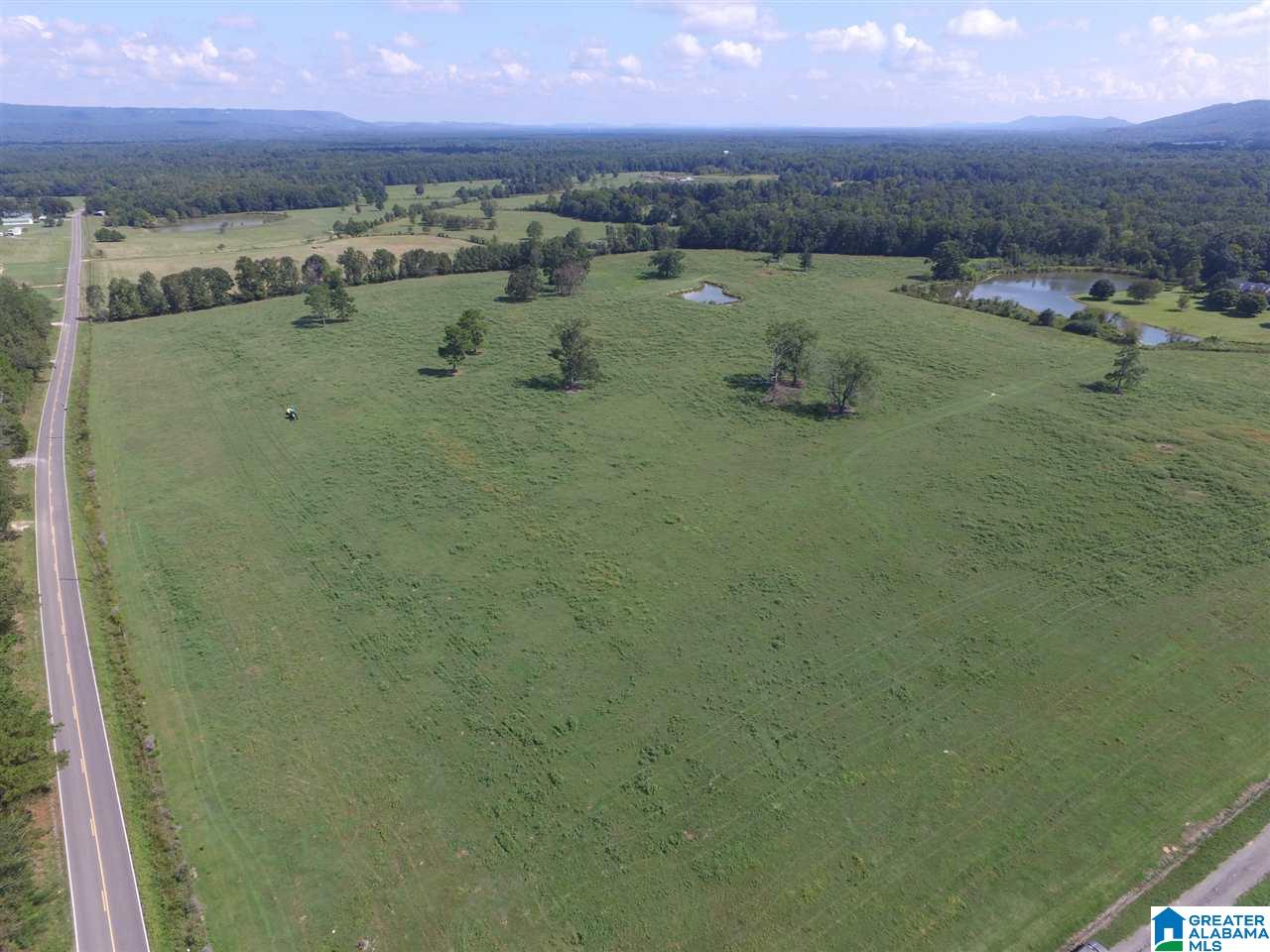 Double Bridge Road, Unit 12 Steele, AL 35987 - Photo 4 of 5