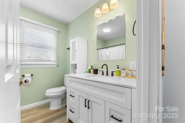 a bathroom with a sink a toilet and a mirror