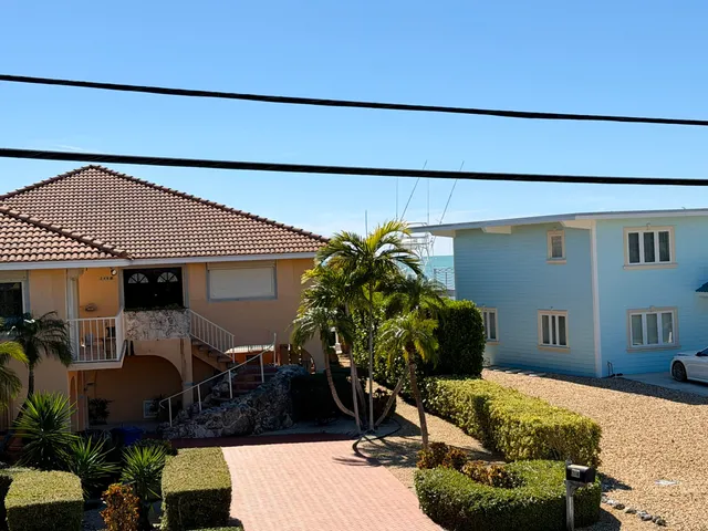 a potted plant sitting in front of a house