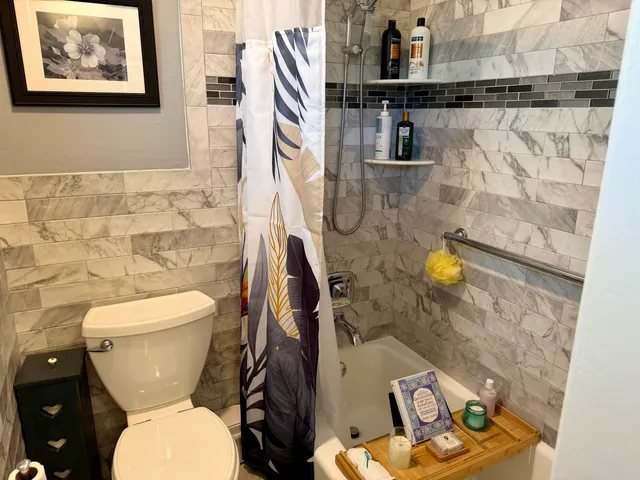 a bathroom with a toilet and a sink