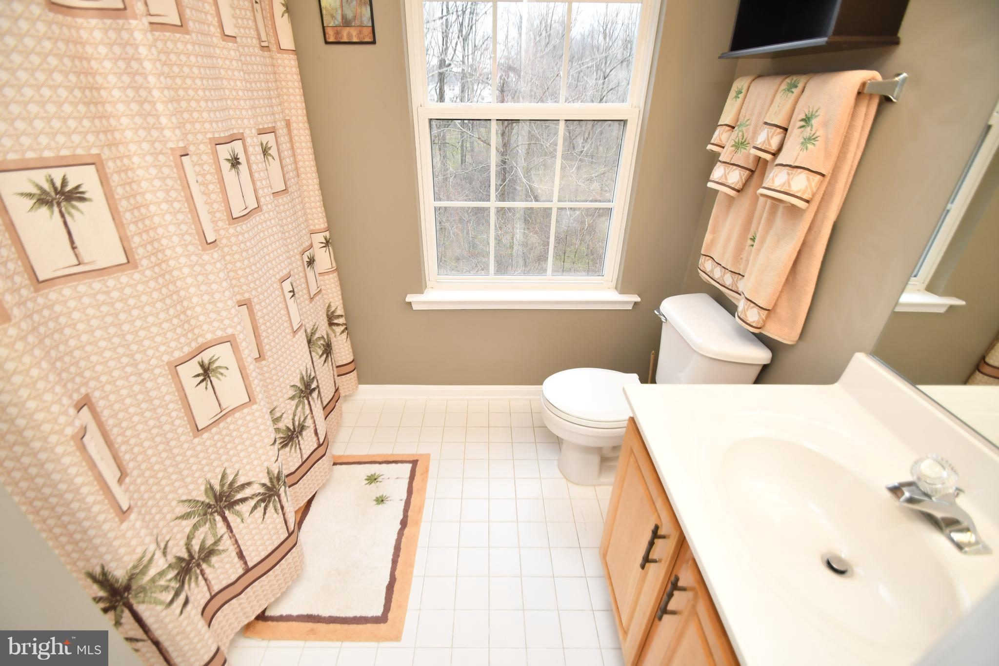 700 Shallow Ridge Court Abingdon, MD 21009 - Photo 13 of 25 Bath (Master)