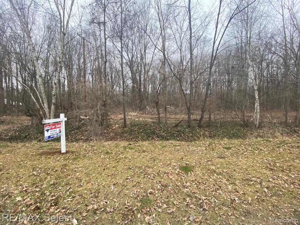 13850 Budd Road Burt, MI 48417 - Photo 3 of 4