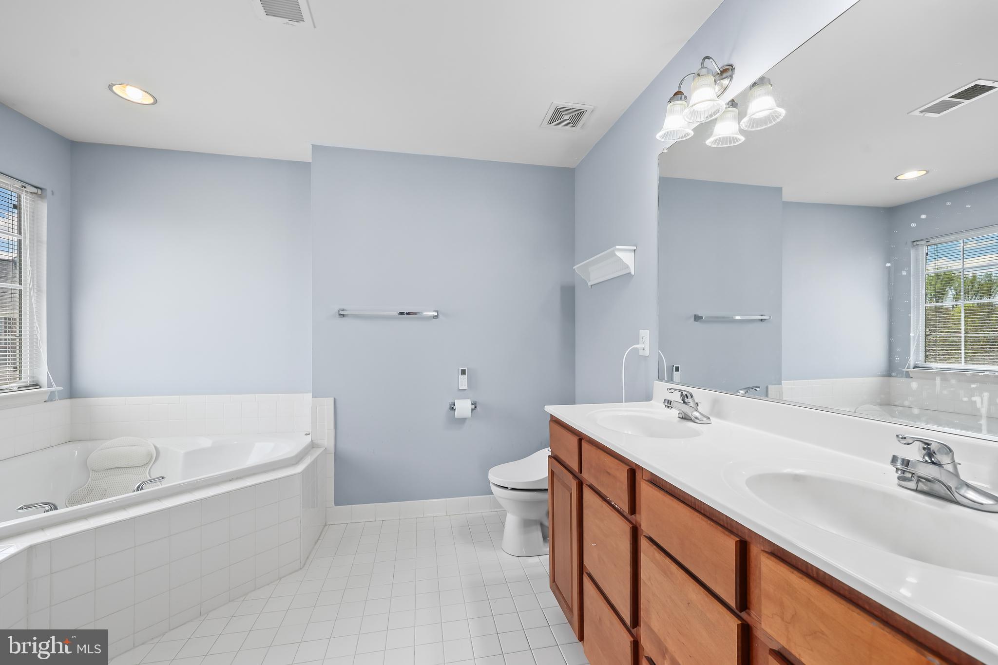 44 Hamstead Road Fredericksburg, VA 22405 - Photo 30 of 53 a bathroom with a sink a toilet a mirror and bathtub