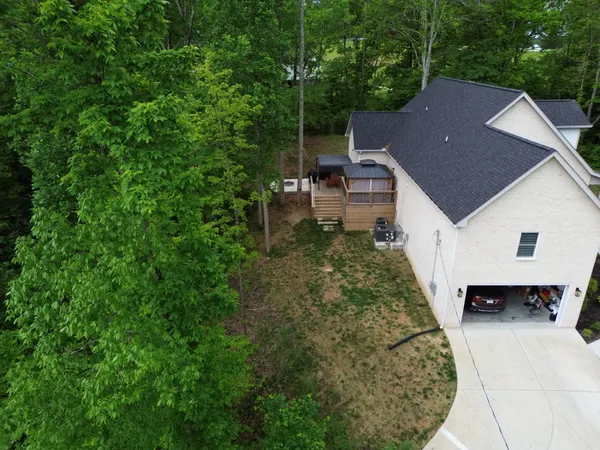 a view of a lush green forest