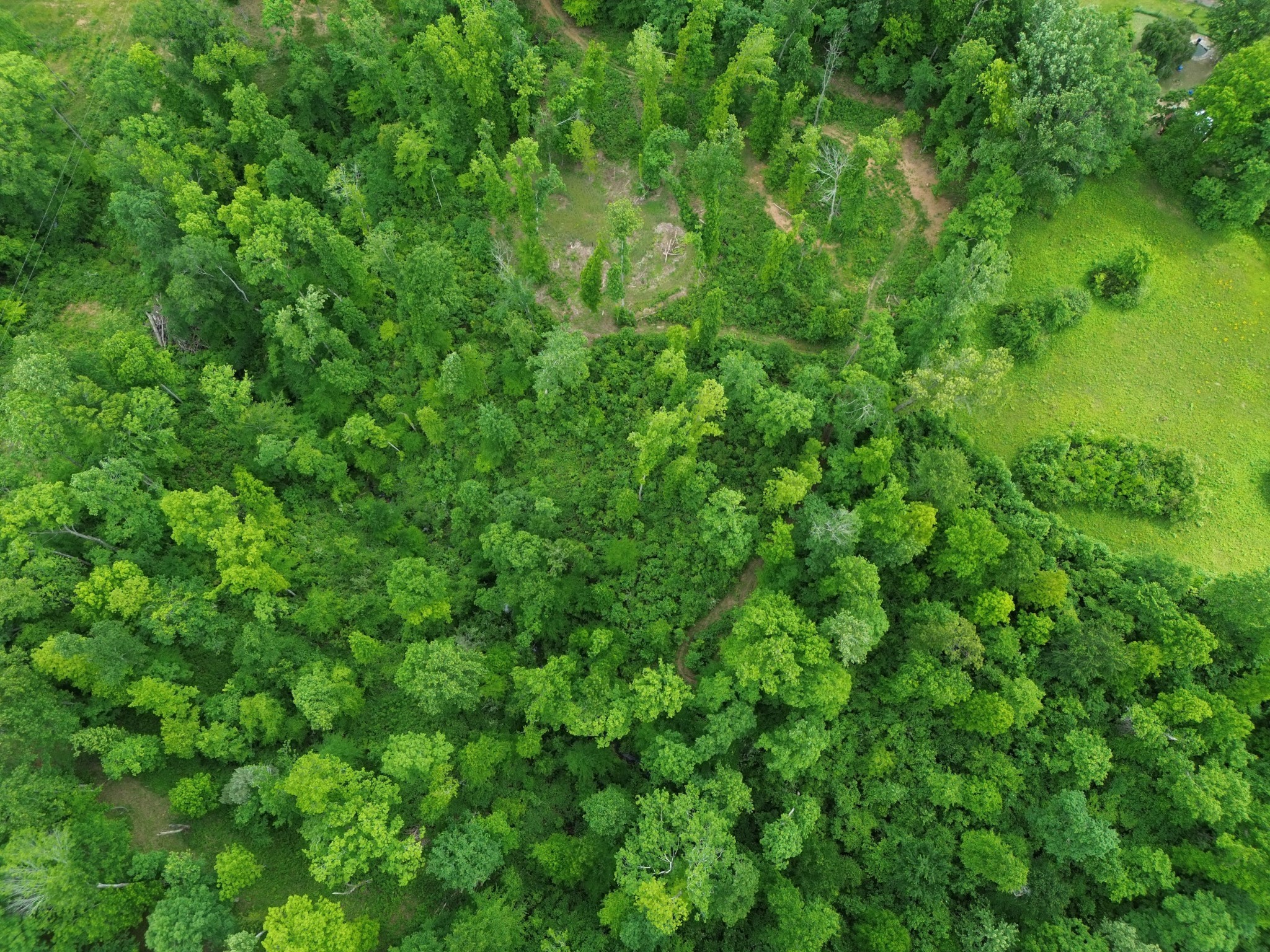 514 Doy Road White Bluff, TN 37187 - Photo 52 of 57 a view of a lush green space