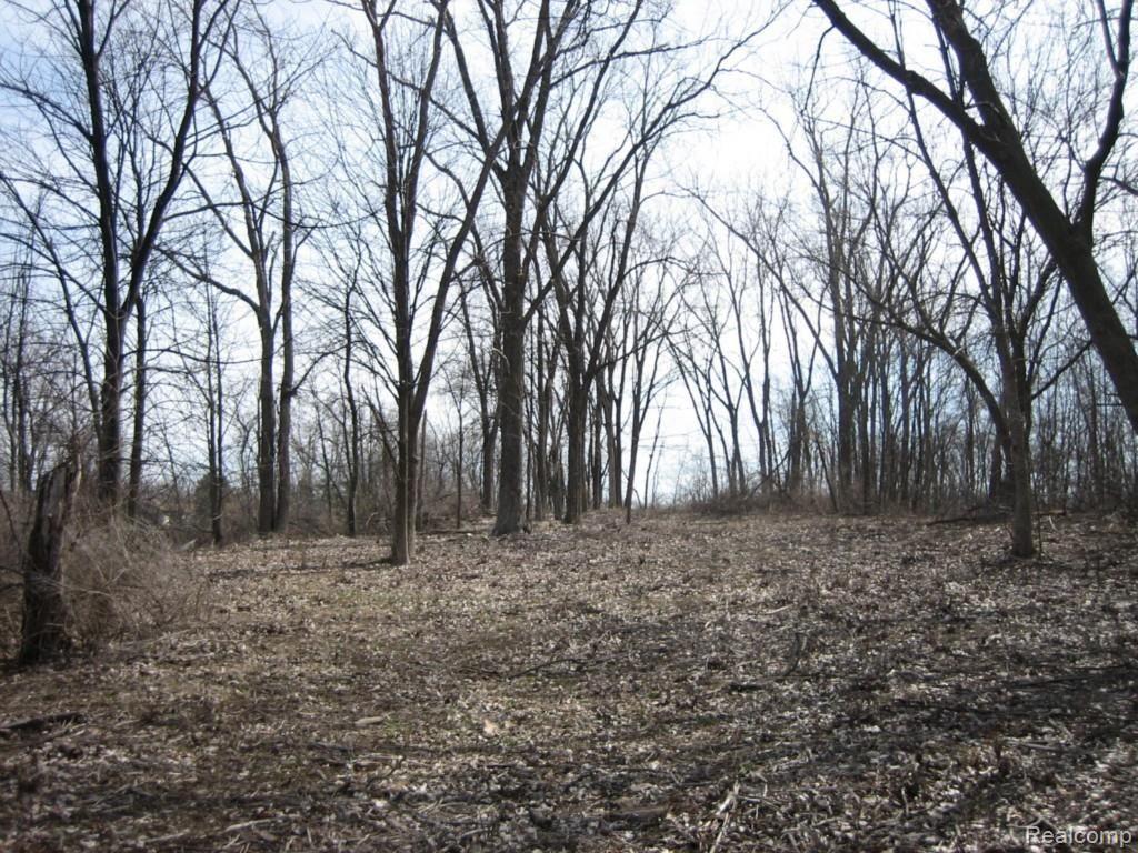 Vac Torrey Road Fenton, MI 48430 - Photo 8 of 12 IMG_8364.jpg