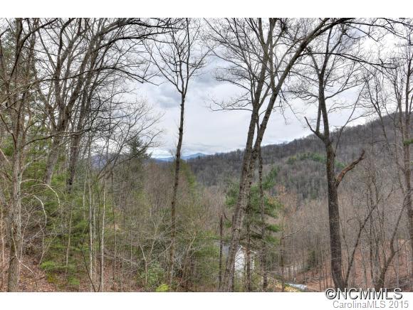 236 Mopey Maple Road Waynesville, NC 28785 - Photo 24 of 24