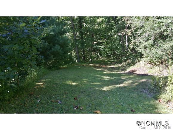 236 Mopey Maple Road Waynesville, NC 28785 - Photo 4 of 24