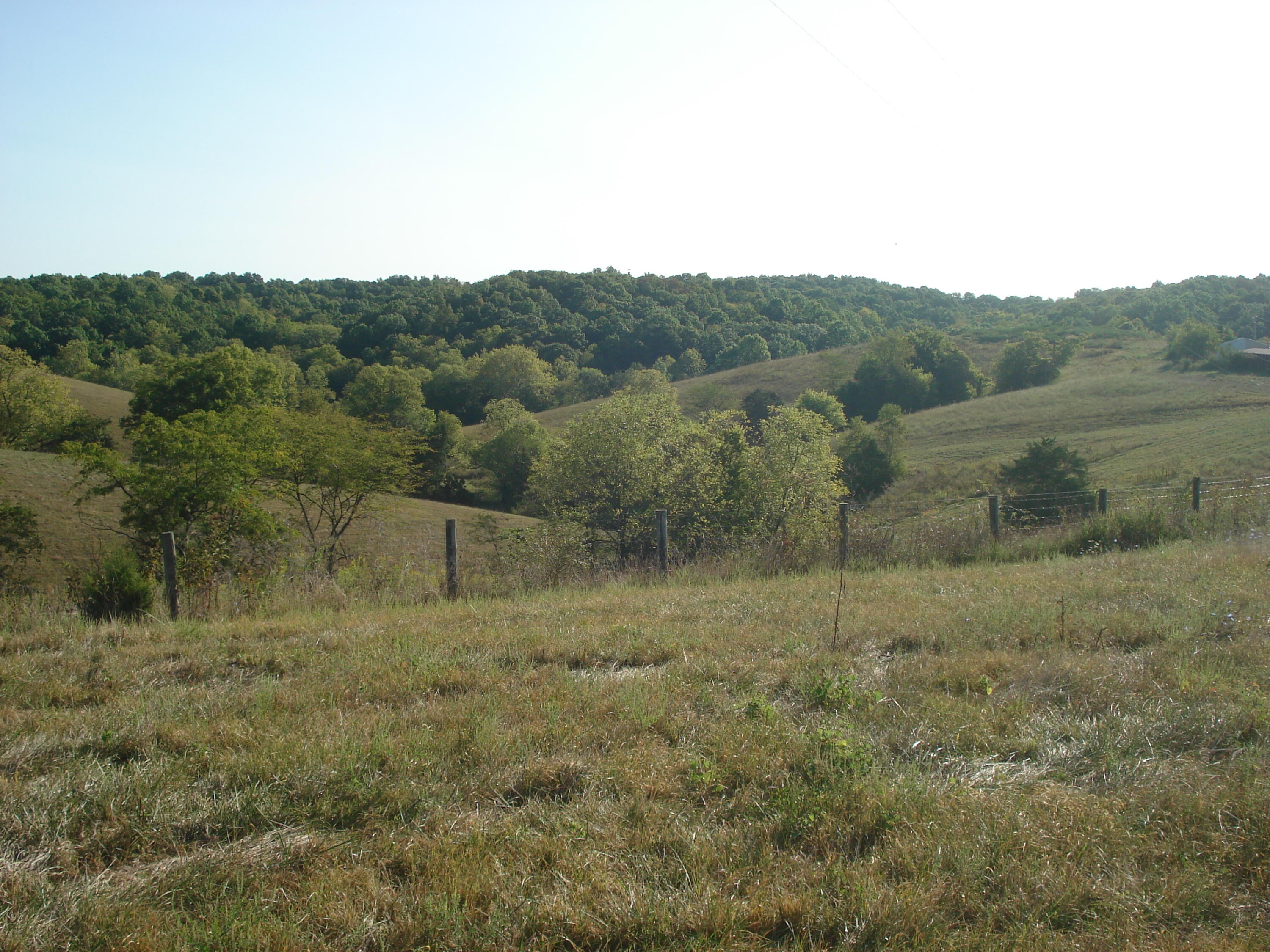 331 Dog Walk Road Cynthiana, KY 41031 - Photo 15 of 17 DSC01246
