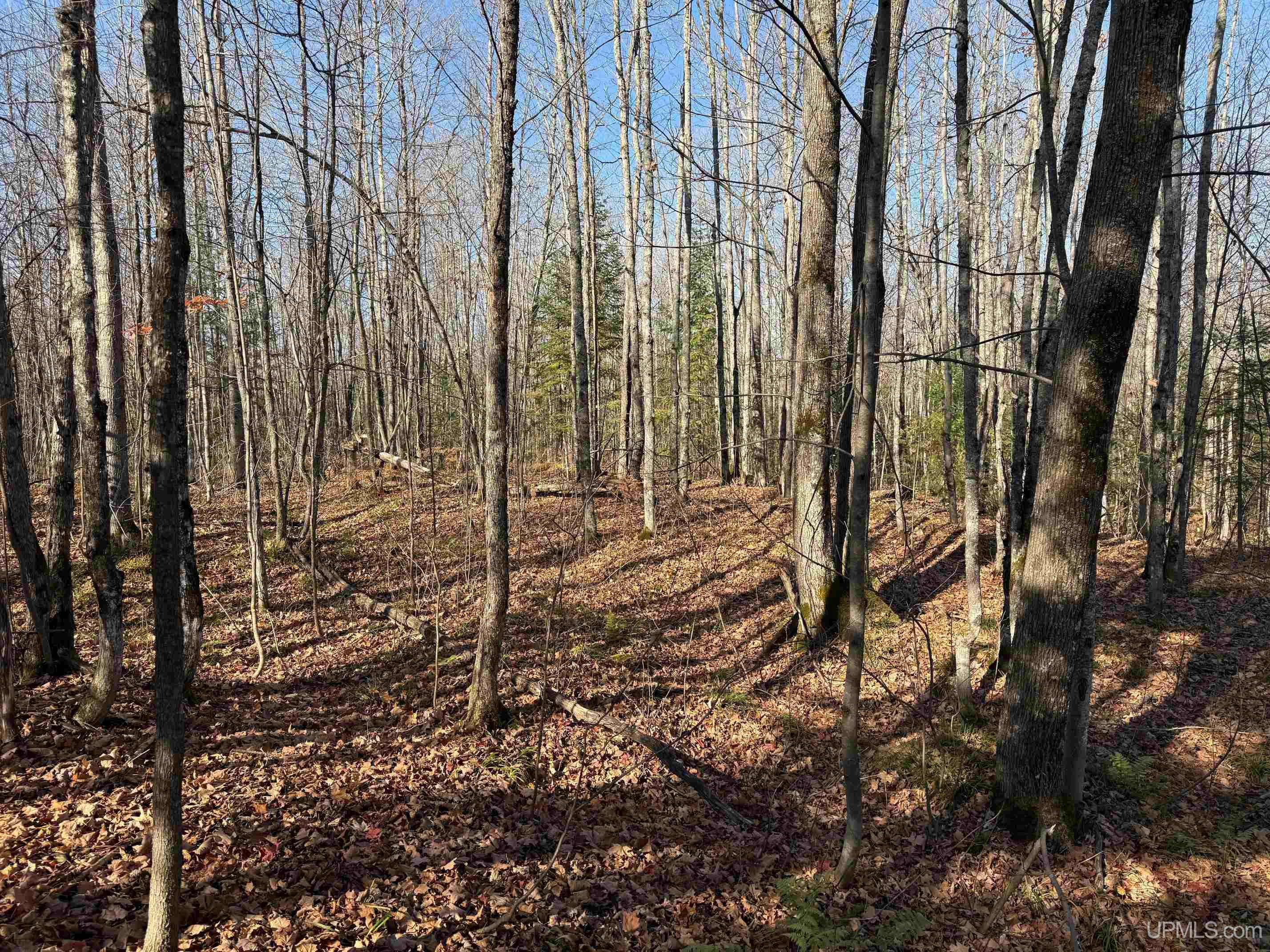 Tbd102 Firesteel Road Ontonagon, MI 49953 - Photo 10 of 18