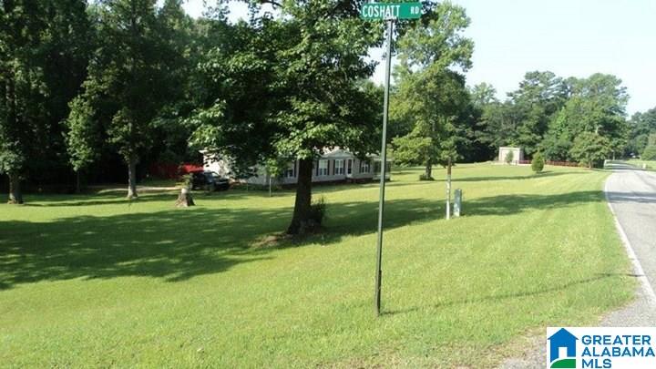 20 Coshatt Road Pell City, AL 35125 - Photo 2 of 12