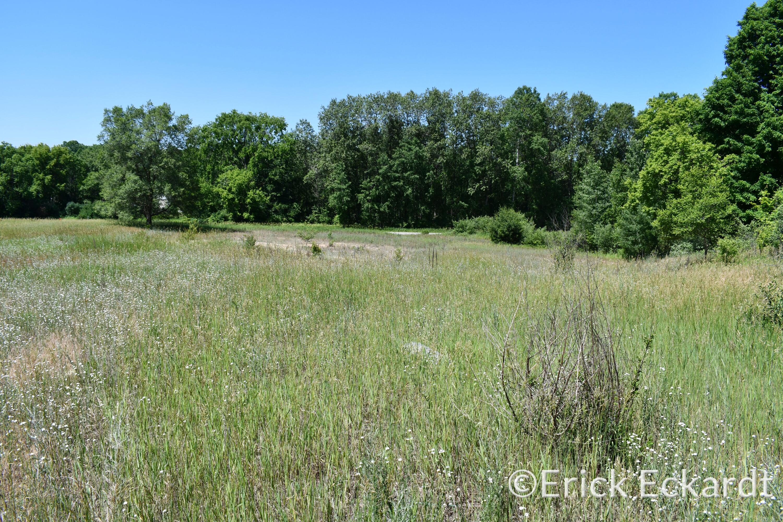 18087 Pierce Road Stanwood, MI 49346 - Photo 1 of 17 DSC_2410