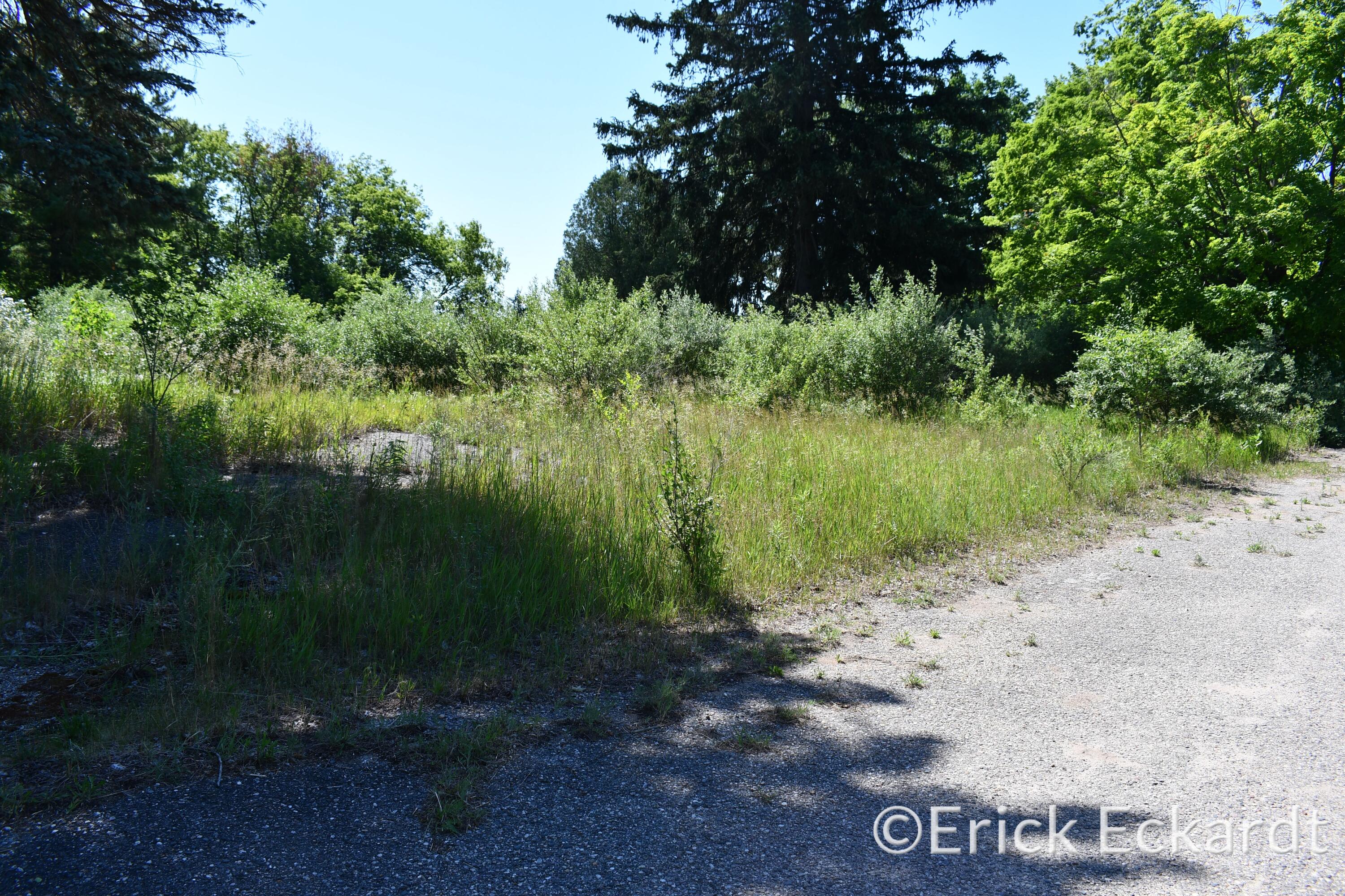 18087 Pierce Road Stanwood, MI 49346 - Photo 12 of 17 DSC_2407