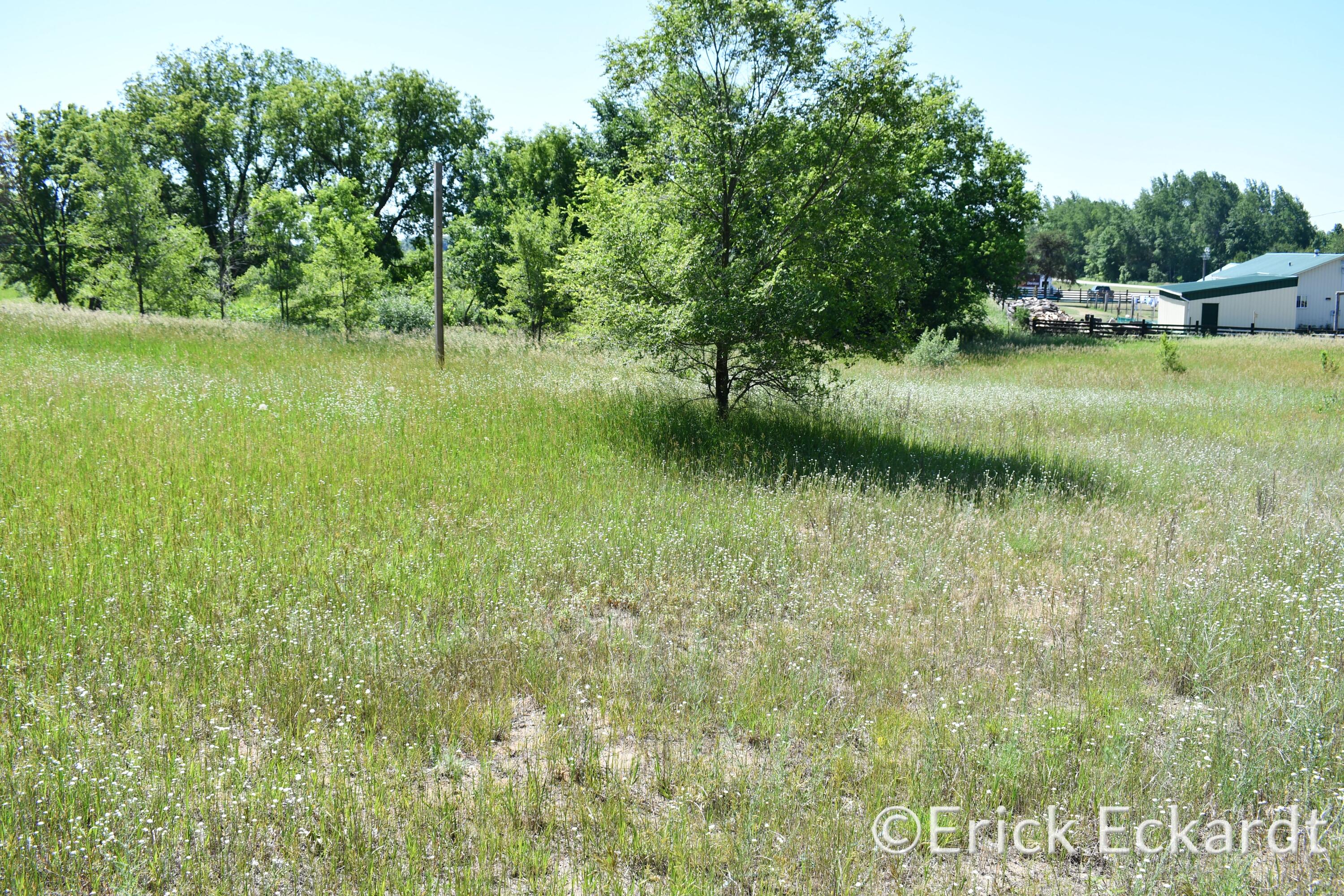 18087 Pierce Road Stanwood, MI 49346 - Photo 3 of 17 DSC_2412