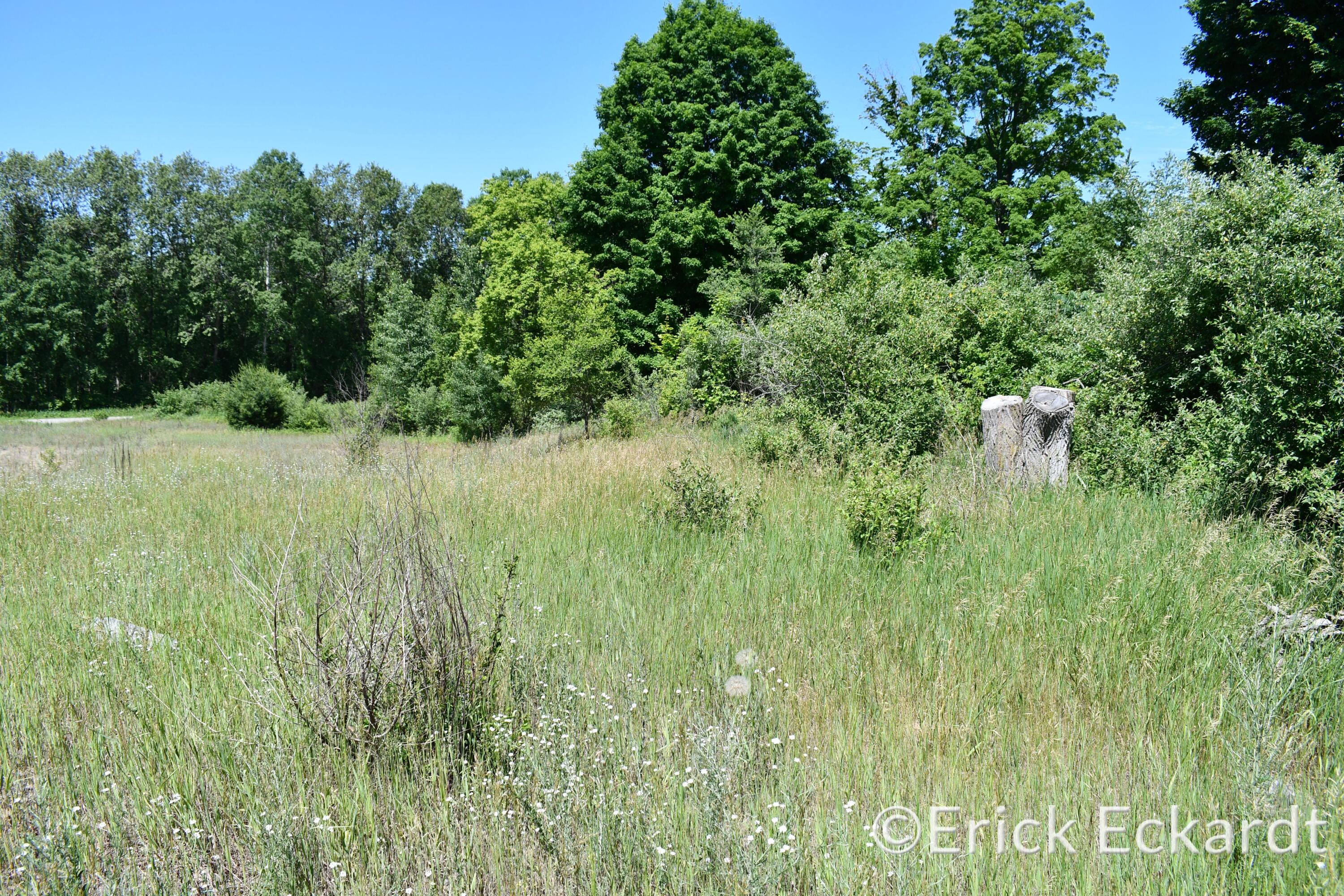 18087 Pierce Road Stanwood, MI 49346 - Photo 4 of 17 DSC_2413