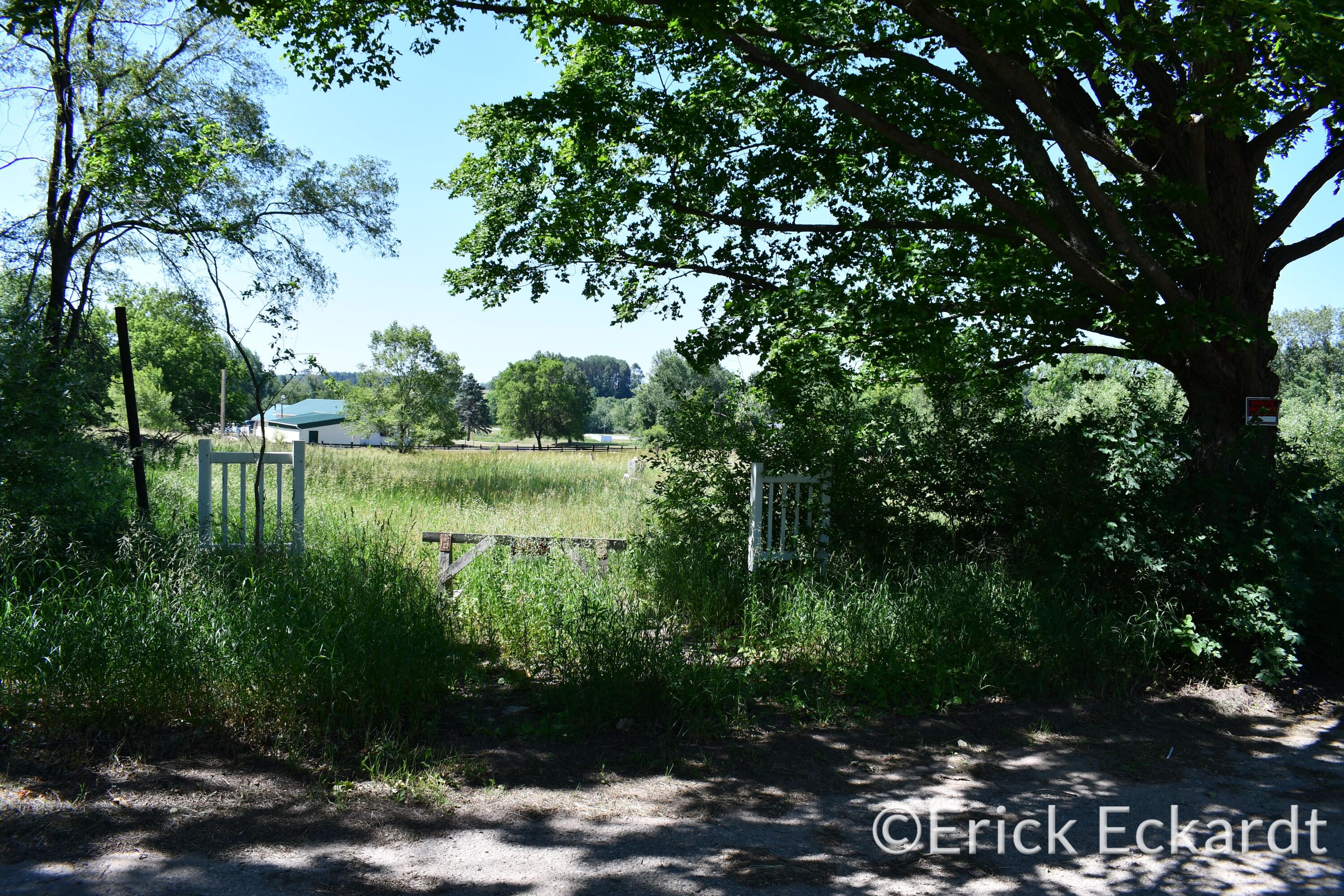 18087 Pierce Road Stanwood, MI 49346 - Photo 5 of 17 DSC_2405