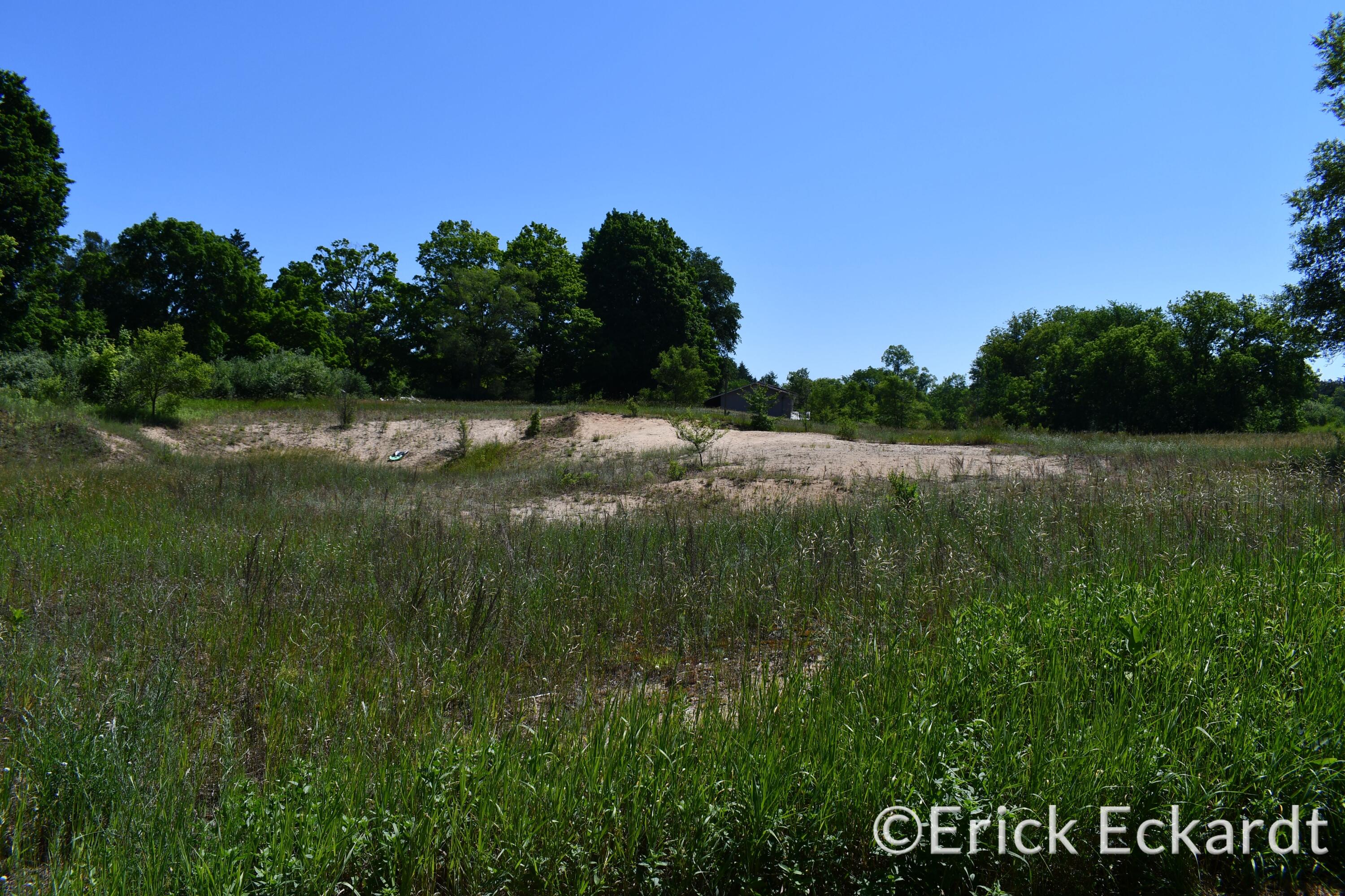 18087 Pierce Road Stanwood, MI 49346 - Photo 7 of 17 DSC_2416