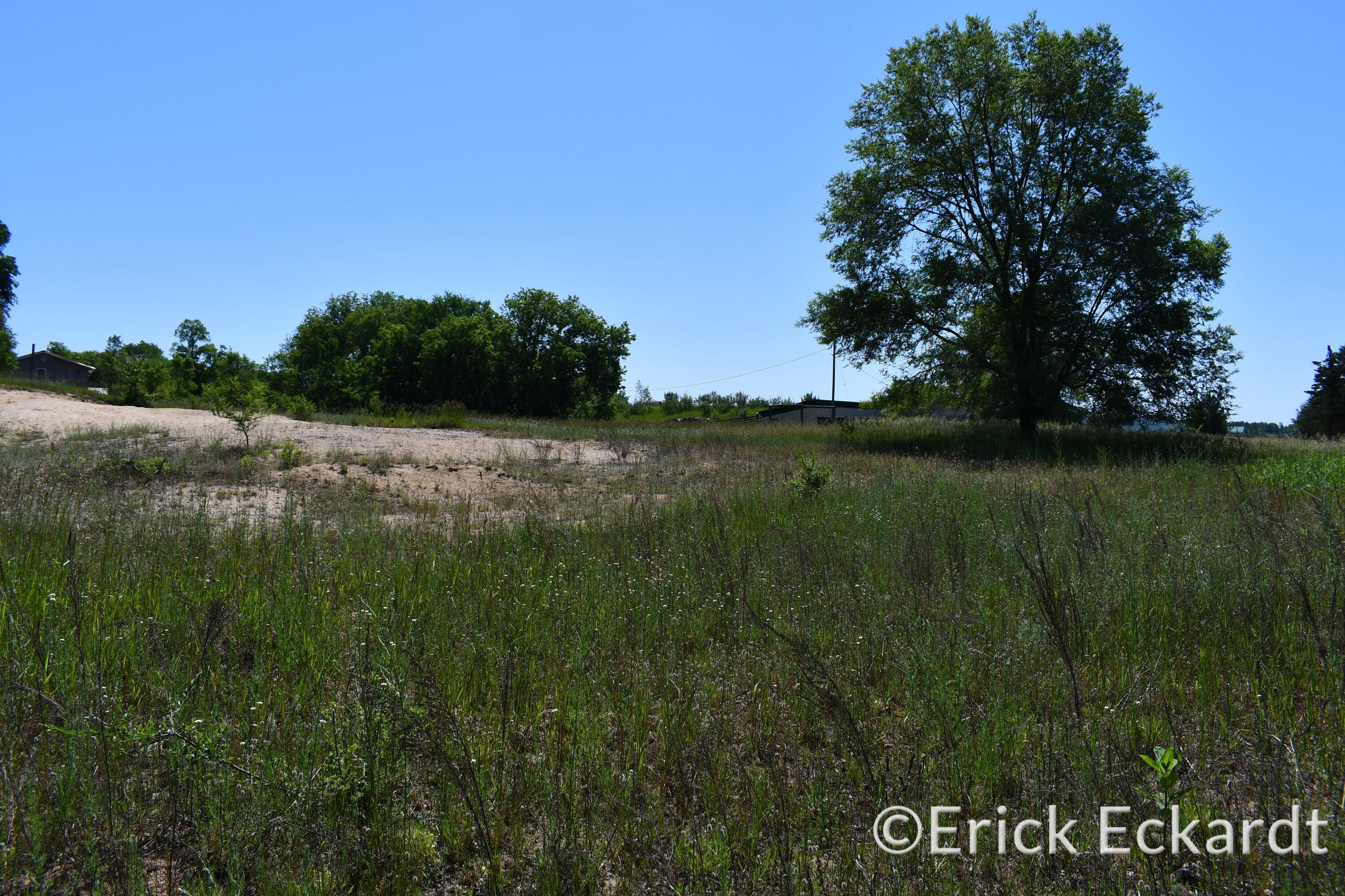 18087 Pierce Road Stanwood, MI 49346 - Photo 9 of 17 DSC_2418
