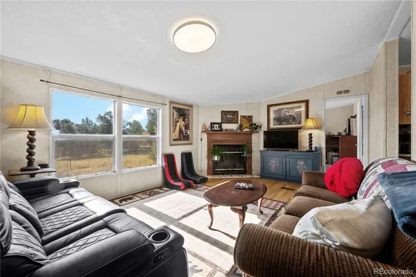 a living room with furniture or couch and a fireplace