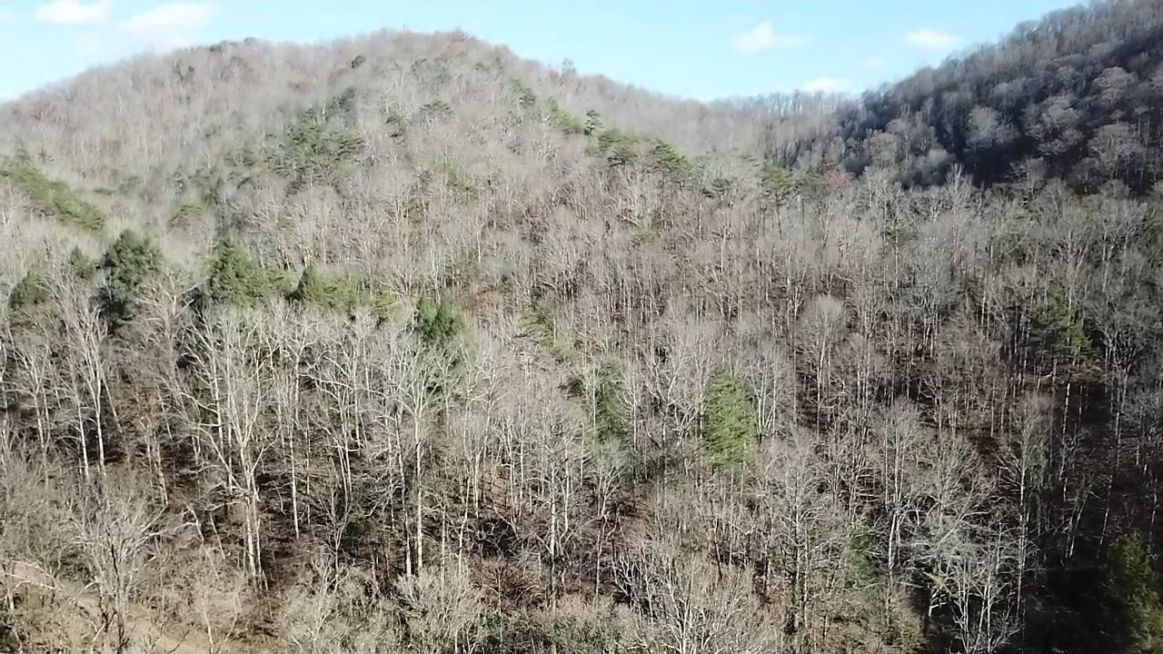 9999 Bishop Bend Road Oneida, KY 40972 - Photo 13 of 22 Photo 13