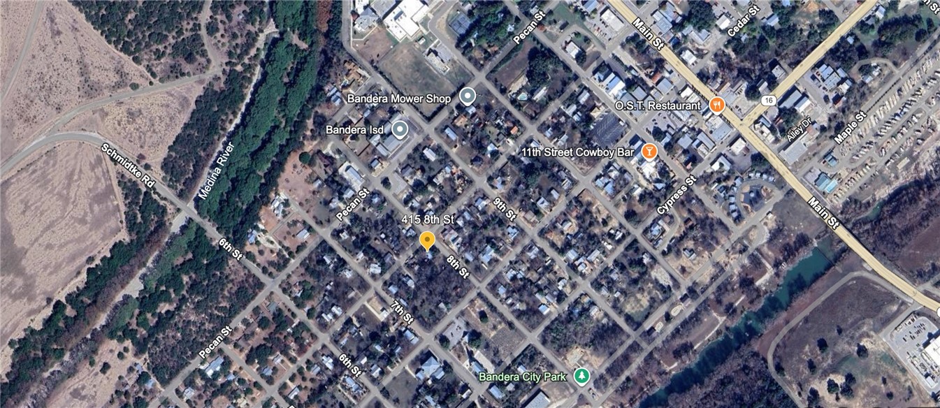 415 8th Street Bandera, TX 78003 - Photo 13 of 13 a close up of a plant