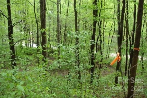 99999 Tanasee Gap Road Balsam Grove, NC 28708 - Photo 3 of 7 Gallery Image 3