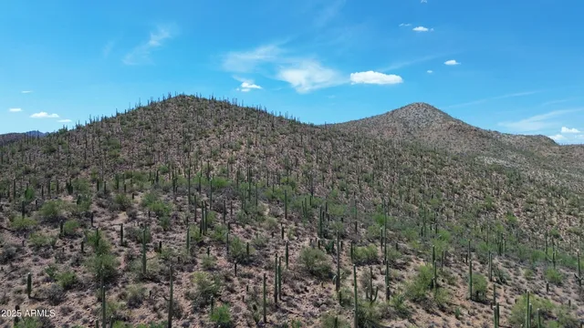 a view of a mountain