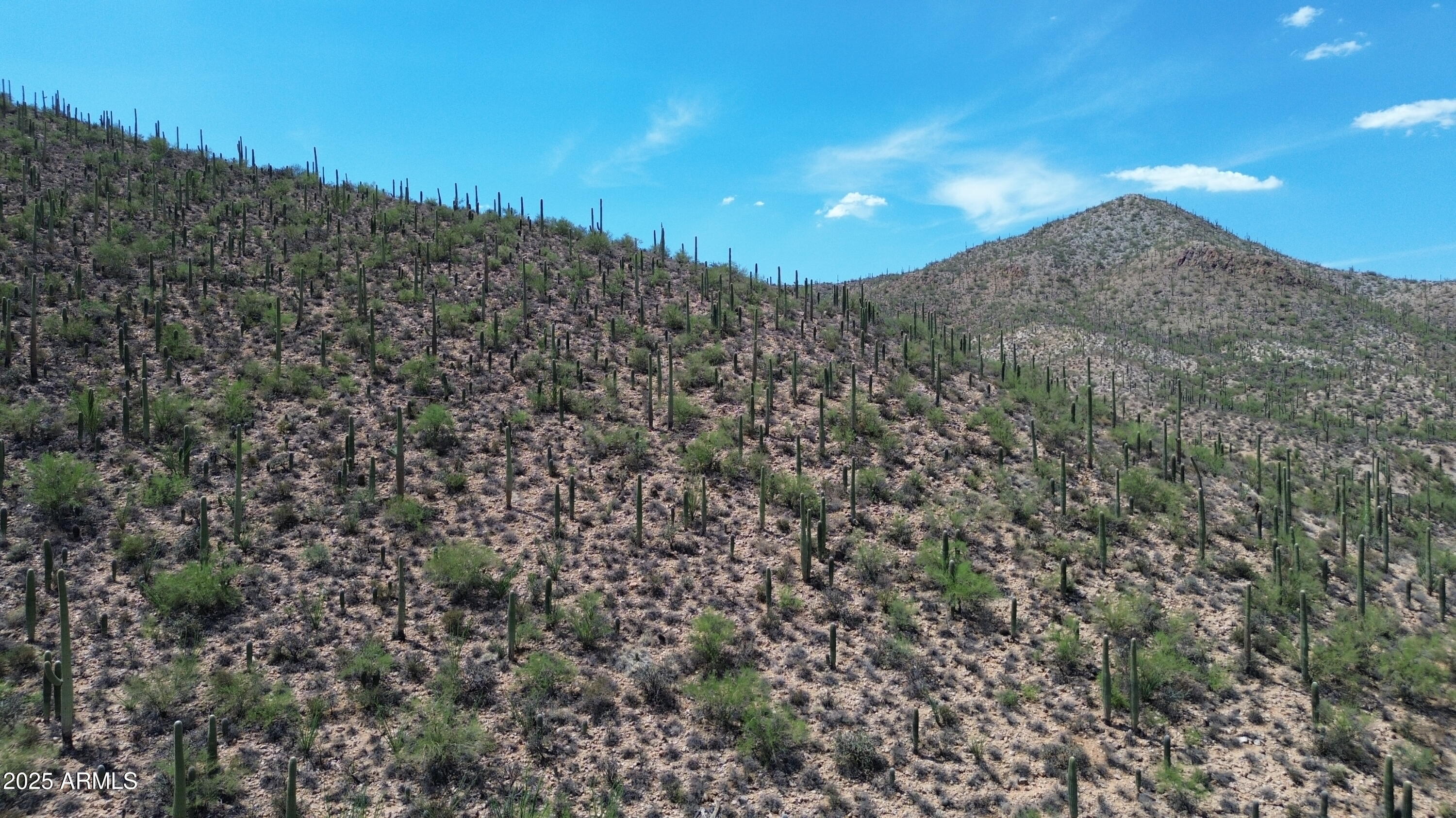 485 South Hotel Service Road Tucson, AZ 85745 - Photo 26 of 38 a view of a dry yard