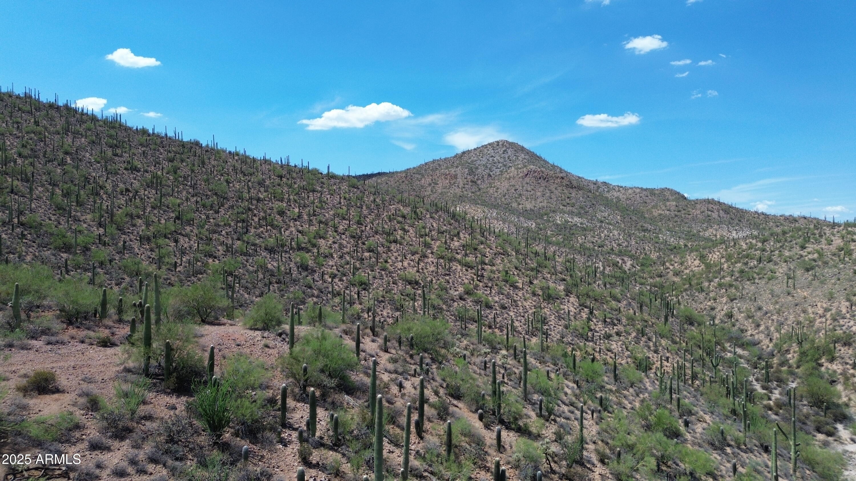 485 South Hotel Service Road Tucson, AZ 85745 - Photo 35 of 38 a view of a sky
