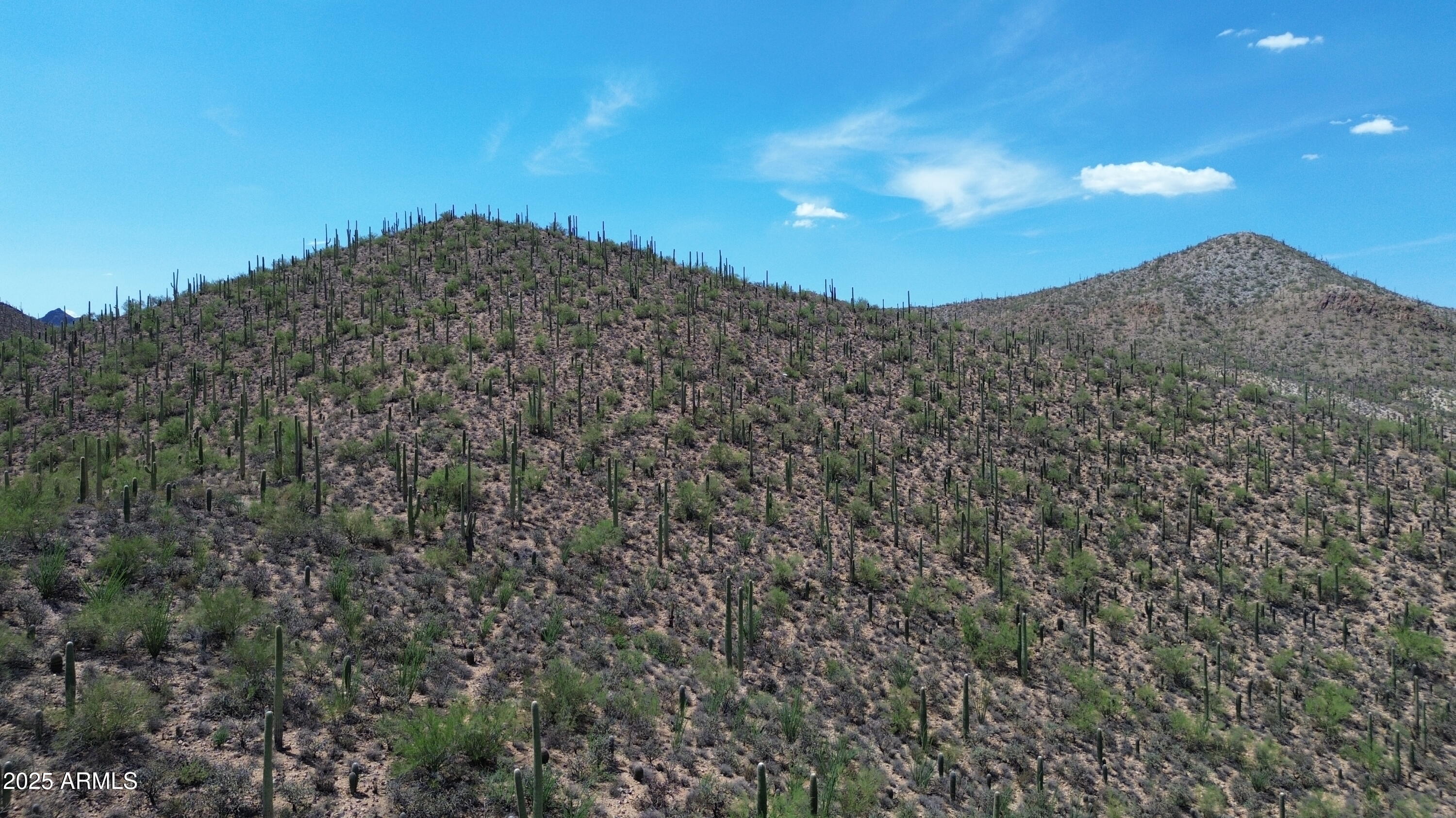 485 South Hotel Service Road Tucson, AZ 85745 - Photo 38 of 38 a view of a large building