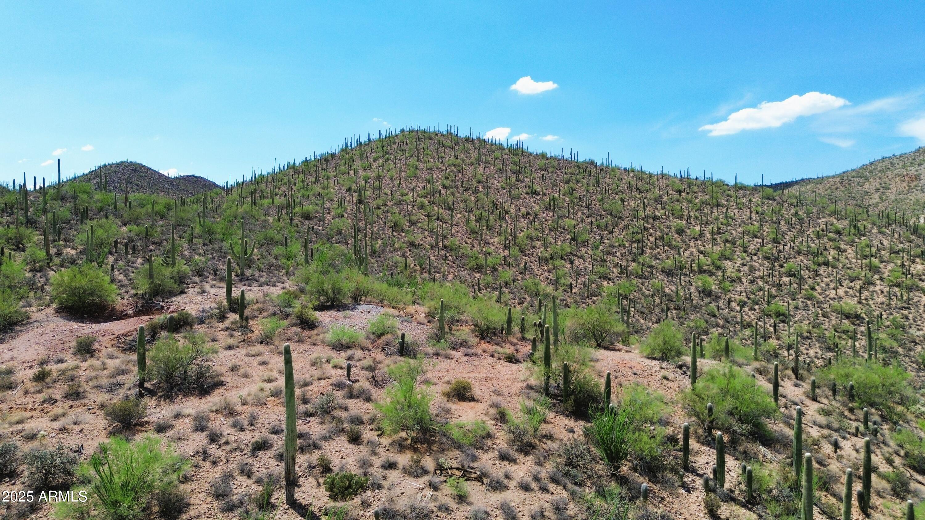 485 South Hotel Service Road Tucson, AZ 85745 - Photo 6 of 38 a view of a large building with a mountain in the background