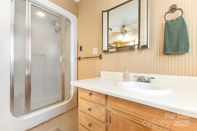 a view of a tree in the middle of a forest