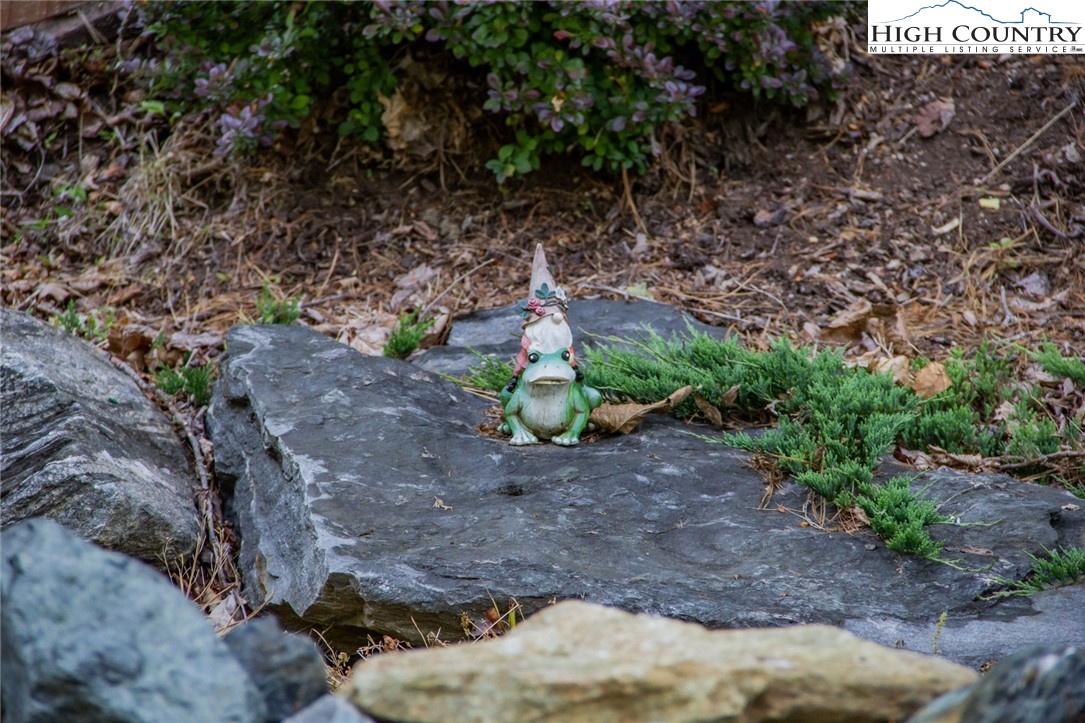 Lot94-95 Roaring Ridge Road Deep Gap, NC 28618 - Photo 17 of 17 a backyard of a house with lots of green space