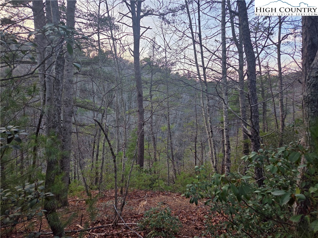 Lot94-95 Roaring Ridge Road Deep Gap, NC 28618 - Photo 2 of 17 a view of a forest