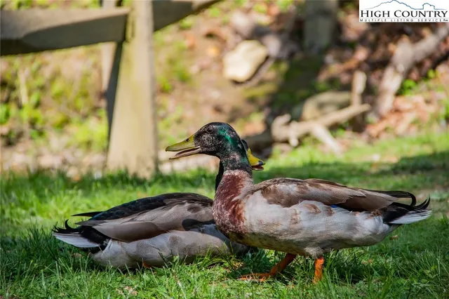 a view of a garden with an outdoor space