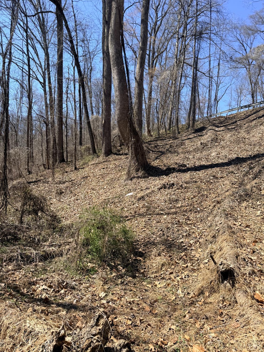 0 Country Club Road Appomattox, VA 24522 - Photo 3 of 9 Gallery Image 3