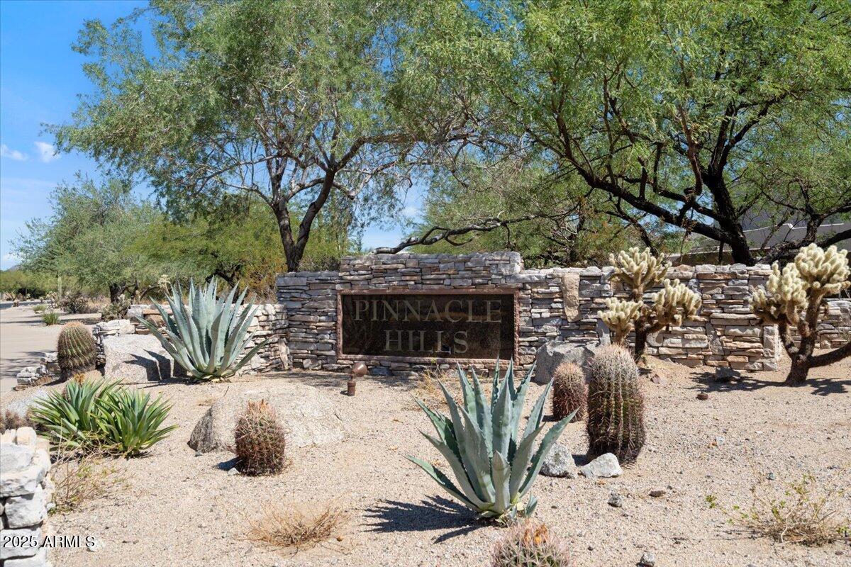 4037 North Pinnacle Hills Circle Mesa, AZ 85207 - Photo 85 of 195 a view of outdoor space yard and patio