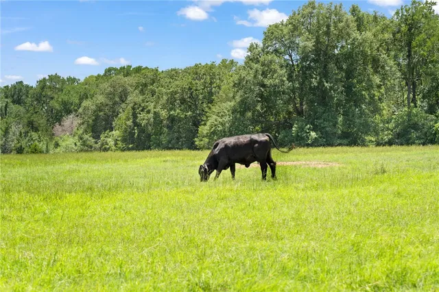 $449,900 | Tbd Tbd Street, Paige, TX 78659